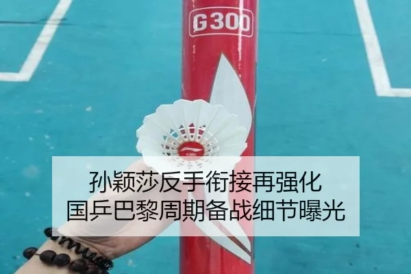 孙颖莎反手衔接再强化 国乒巴黎周期备战细节曝光 - SPORTS